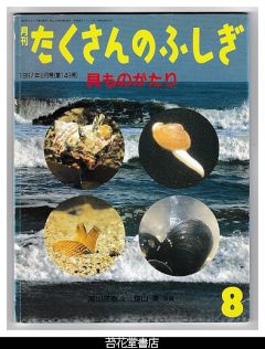 月刊たくさんのふしぎ１４９号（１９９７年８月）－貝ものがたり