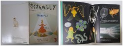 月刊たくさんのふしぎ１９２号（２００１年３月号）－写真の国のアリス