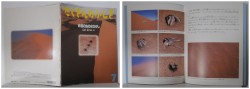 月刊たくさんのふしぎ１３６号（１９９６年７月号）－砂漠の虫の水さがし