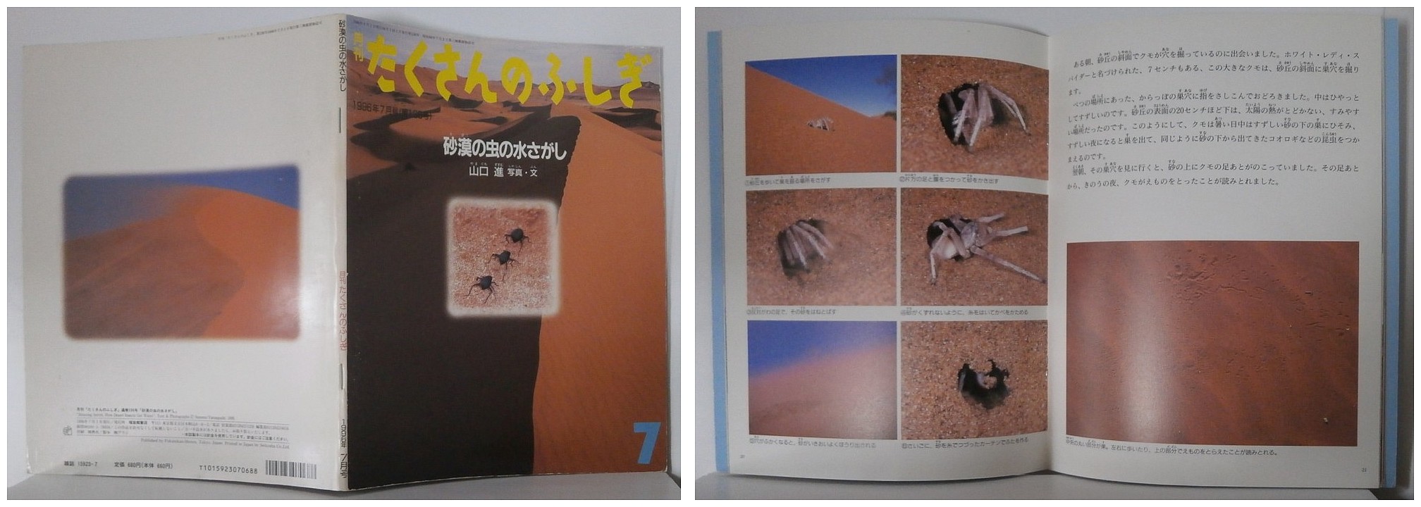 月刊たくさんのふしぎ１３６号（１９９６年７月号）－砂漠の虫の水さがし・福音館書店