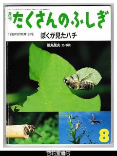 月刊たくさんのふしぎ１６１号（１９９８年８月号）－ぼくが見たハチ