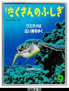 月刊たくさんのふしぎ１７４号（１９９９年９月号）－ウミガメは広い海をゆく