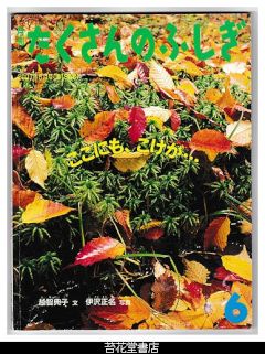 月刊たくさんのふしぎ１９５号（２００１年６月号）－ここにも、こけが・・・