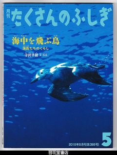 月刊たくさんのふしぎ３９８号（２０１８年５月）－海中を飛ぶ鳥　海鳥たちのくらし