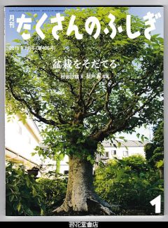 月刊たくさんのふしぎ４０６号（２０１９年１月）－盆栽をそだてる