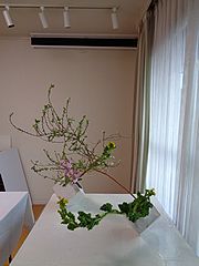 いけばな作品・ユキヤナギ、ストック（ピンク）、菜の花