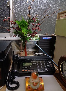 苔花堂書店正月花・西洋カマツカ（アロニア）、エレガンテシマ（コノテガシワ）、ハシバミ