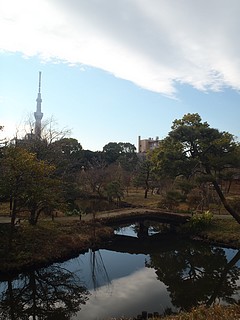向島百花園から見る東京スカイツリー