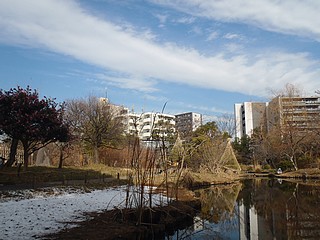 向島百花園内・雪が残っている！