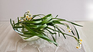 いけばな作品・日本水仙