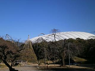 小石川後楽園