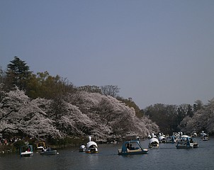 井の頭公園