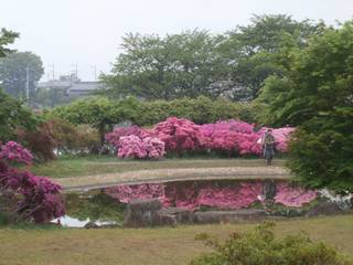 つつじが岡公園