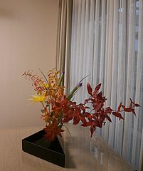 いけばな作品・ヒペリカム（紅葉）、糸菊、アイリス　斜め左から