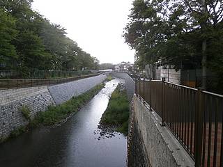 善福寺川