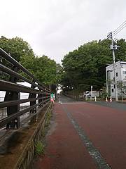 水道道路済美山付近