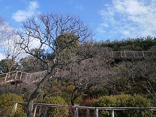 池上梅園