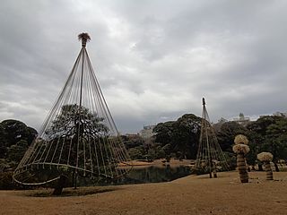 六義園の冬化粧