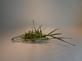 いけばな作品・日本水仙