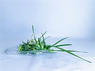 いけばな作品・日本水仙