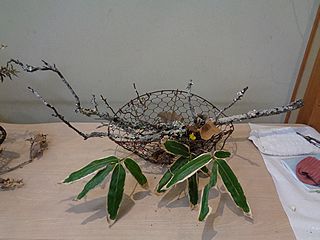 いけばな作品・苔梅、白梅、福寿草、熊笹、柏葉