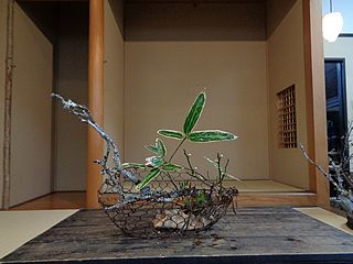 いけばな作品・苔梅、白梅、福寿草、熊笹、柏葉