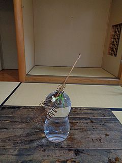 いけばな作品・水仙、雁足