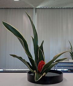 いけばな作品・オモト・基本立真型