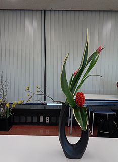 いけばな作品・オモト・自由作品