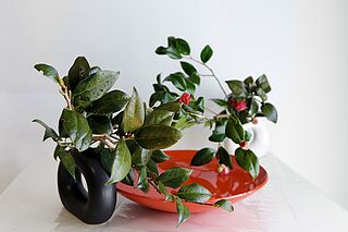 いけばな作品・椿