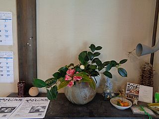 いけばな作品・山茶花、白玉椿