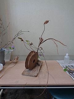 いけばな作品・立ち枯れ紫蘭、立ち枯れ霜柱、諸葛菜（ムラサキハナナ）、フキノトウ、綿、櫟の葉、枯れ芒