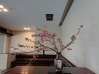 いけばな作品・河津桜