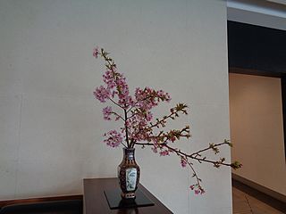 いけばな作品・河津桜