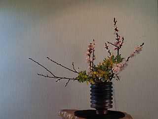 いけばな作品・杏、ミモザ