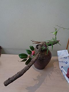 いけばな作品・古木、椿、翁草、貝母百合（バイモユリ）、棕櫚枯葉