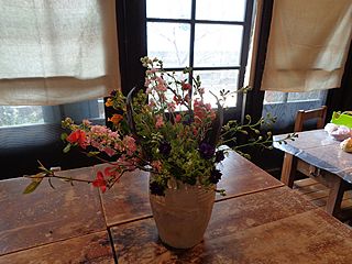 いけばな作品・ボケ、ブラックリーフ、ピンク ラースクパー（千鳥草）、紫アスター、スプレーバラ(オレンジ）