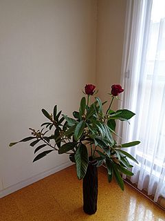 いけばな作品・ビワ、バラ