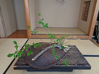 なげいれ作品・古木、万作、蛇苺、紫蘭の芽、茅の葉