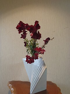 いけばな作品・キンギョソウ・ブラックプリンス