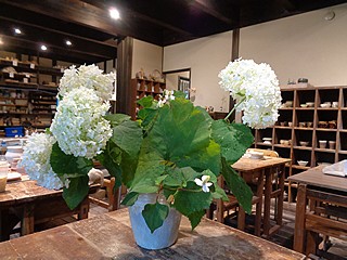 いけばな作品・アジサイ、ドクダミ、ツワブキ