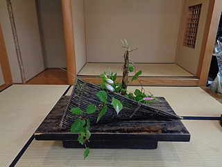 なげいれ作品・真竹、深山木天蓼、九階草、蛍袋、乙女百合、富貴草