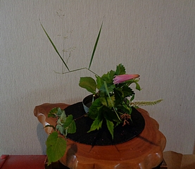 なげいれ作品・深山木天蓼、九階草、乙女百合、富貴草、升草、京鹿子