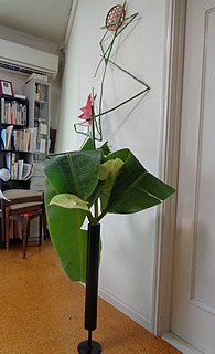 いけばな作品・糸芭蕉、トクサ、ヘリコニア、アンスリウム（グリーン）