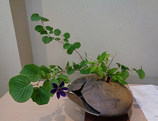 なげいれ作品・土佐水木、鉄仙、半夏生、岡虎の尾