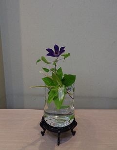 なげいれ作品・鉄仙、半夏生