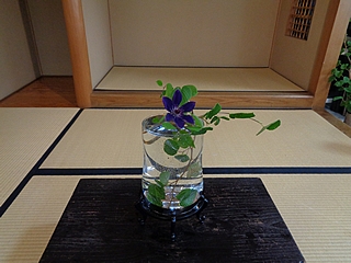 なげいれ作品・土佐水木、鉄仙