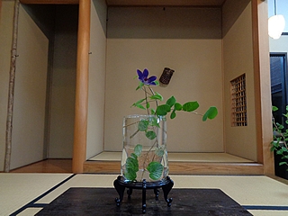 なげいれ作品・土佐水木、鉄仙