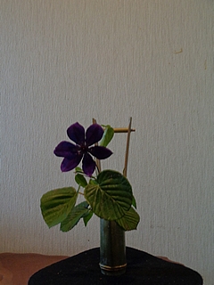 なげいれ作品・土佐水木、鉄仙