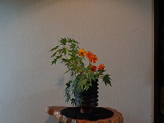 いけばな作品・かえで、黄花コスモス（２色）、タカサゴユリ
